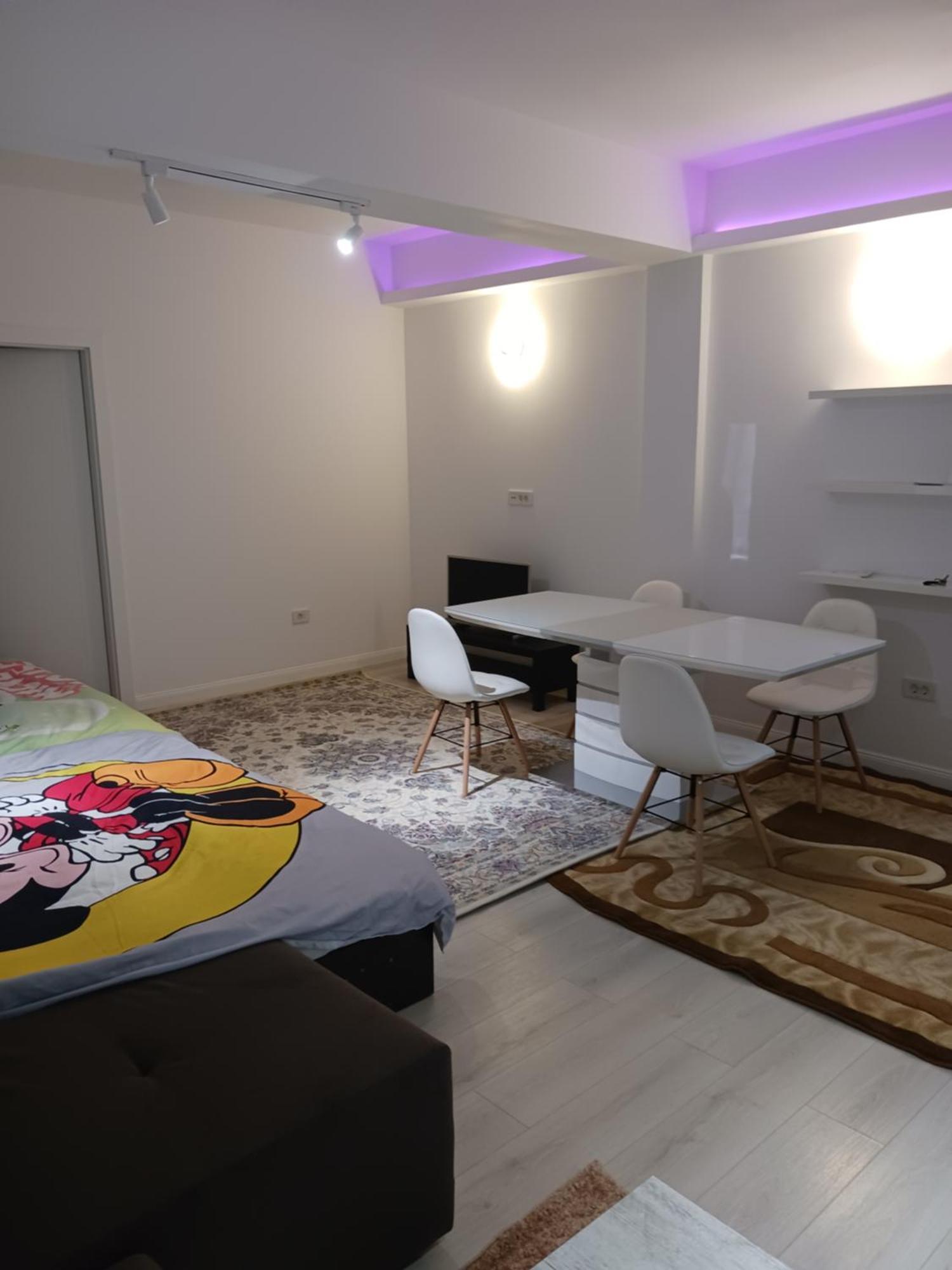 Myky Mouse Nu Primesc Santieristi Si Petrecareti Apartment Bucharest Exterior photo
