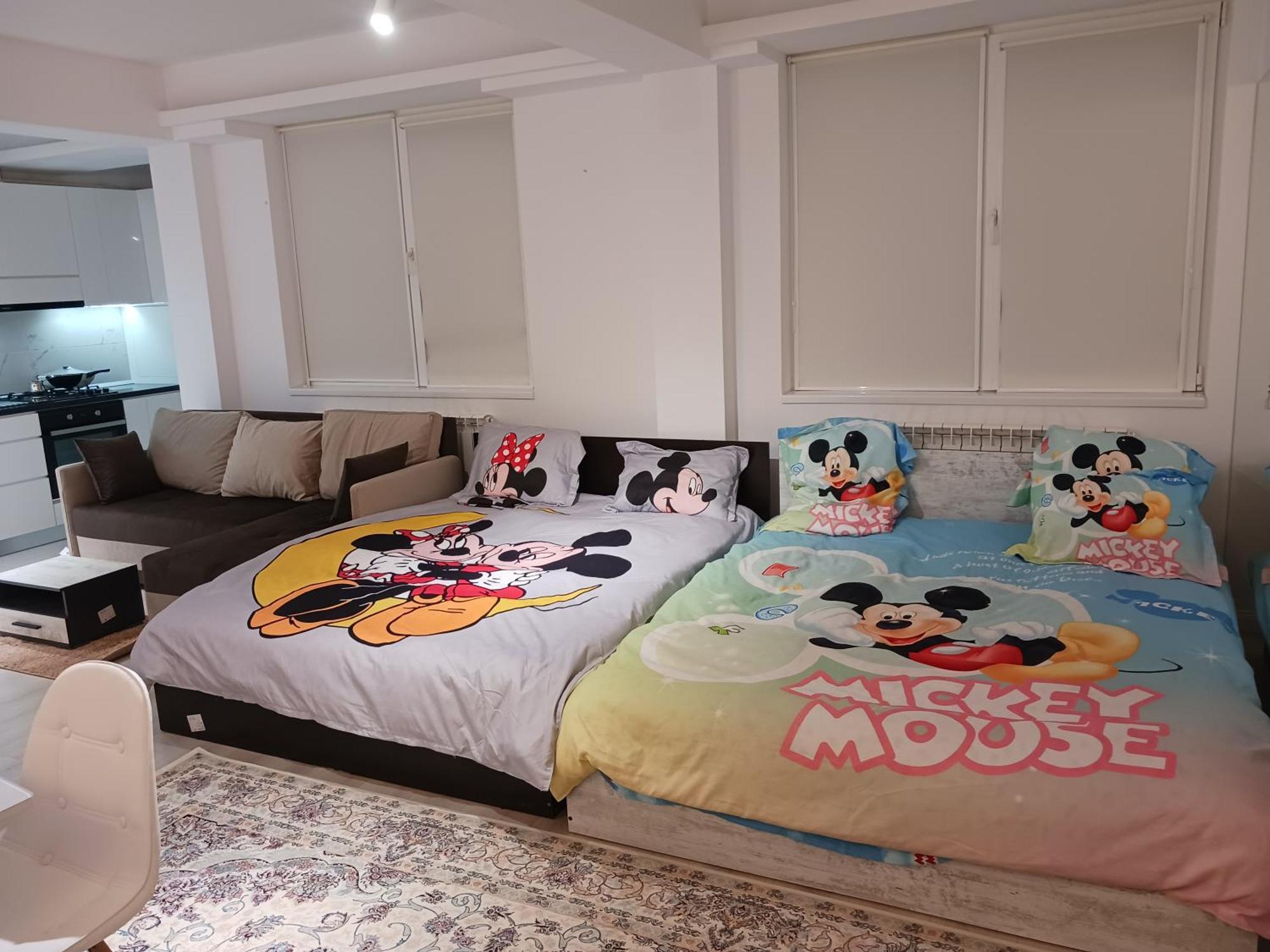Myky Mouse Nu Primesc Santieristi Si Petrecareti Apartment Bucharest Exterior photo